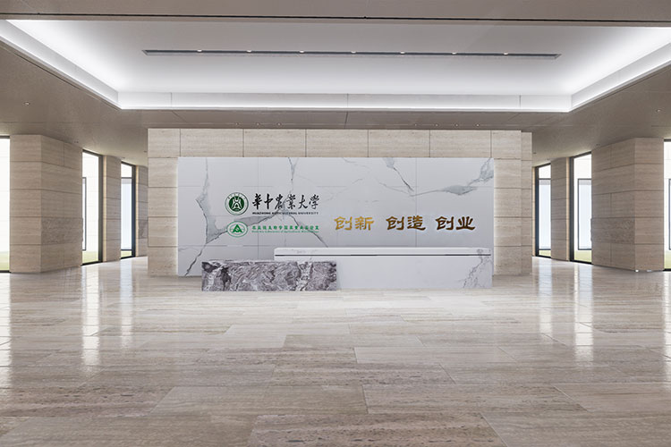 华中农业大学科创实验楼装饰工程